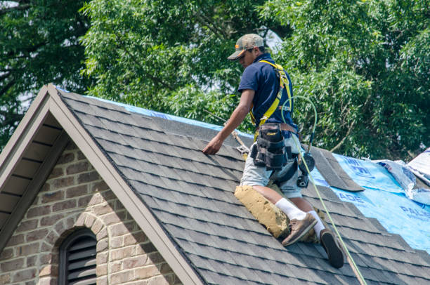 Best Gutter Installation and Roofing  in Calverton Park, MO